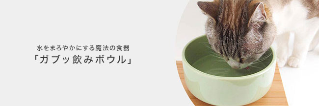 水をまろやかにする魔法の食器「ガブッ飲みボウル」