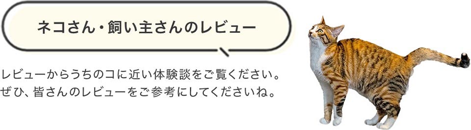 ネコさん飼い主さんのレビュー