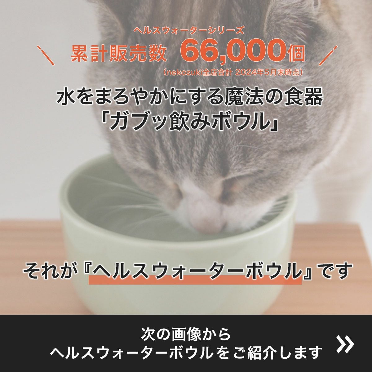猫が水を飲まない対策に。水飲み陶器ヘルスウォーターボウルS