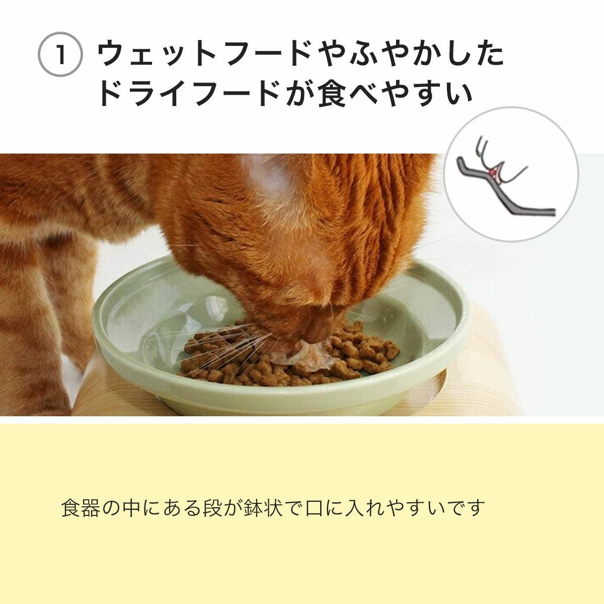 ヘルスウォーターボウルとセットで人気。猫のごはん用陶器・フード