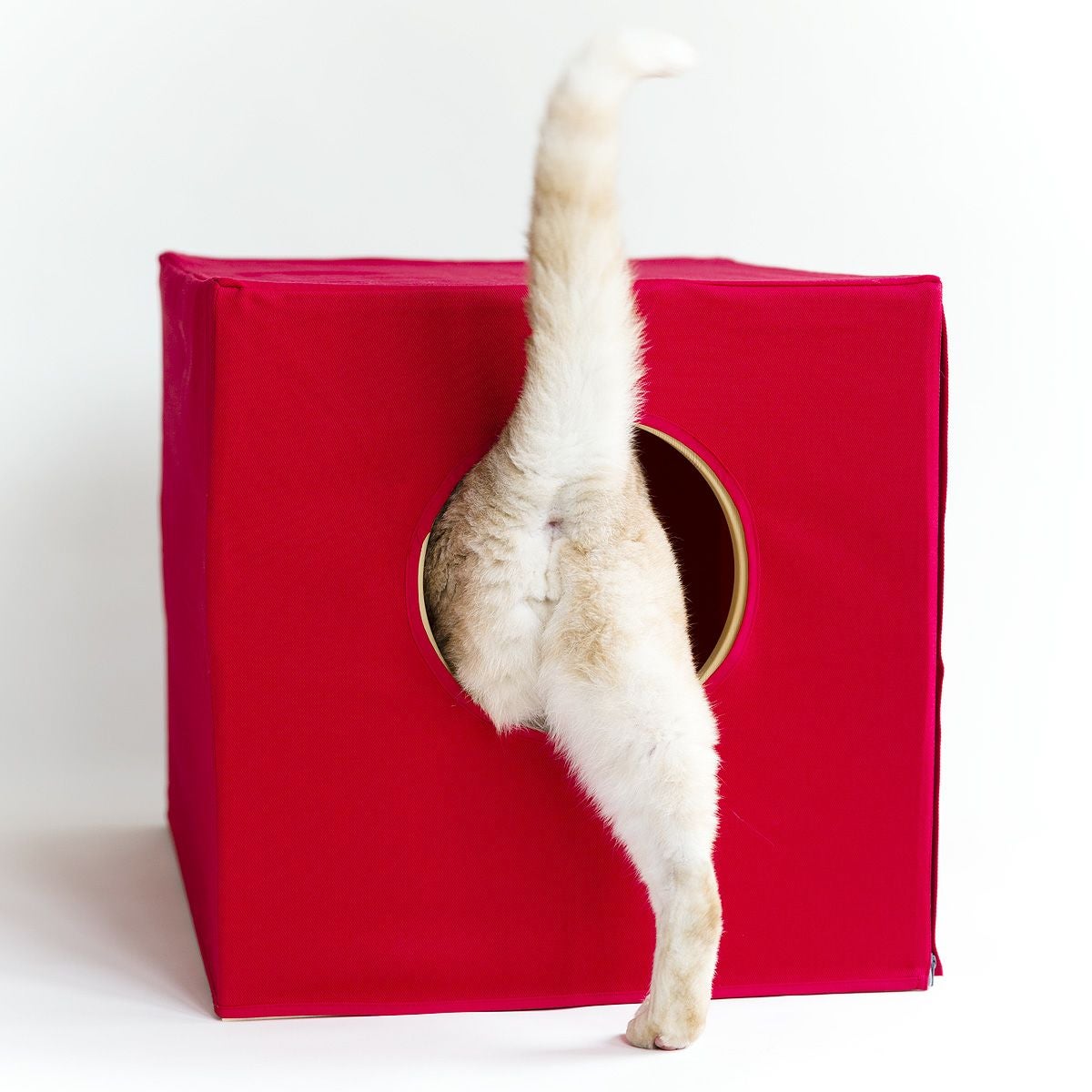 猫蔵専用 消臭布カバー（木の本体は別売） | nekozuki（ねこずき）猫