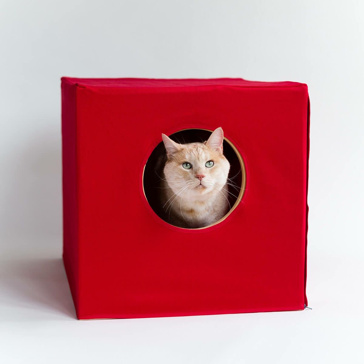 猫蔵専用 消臭布カバー（木の本体は別売） | nekozuki（ねこずき）猫