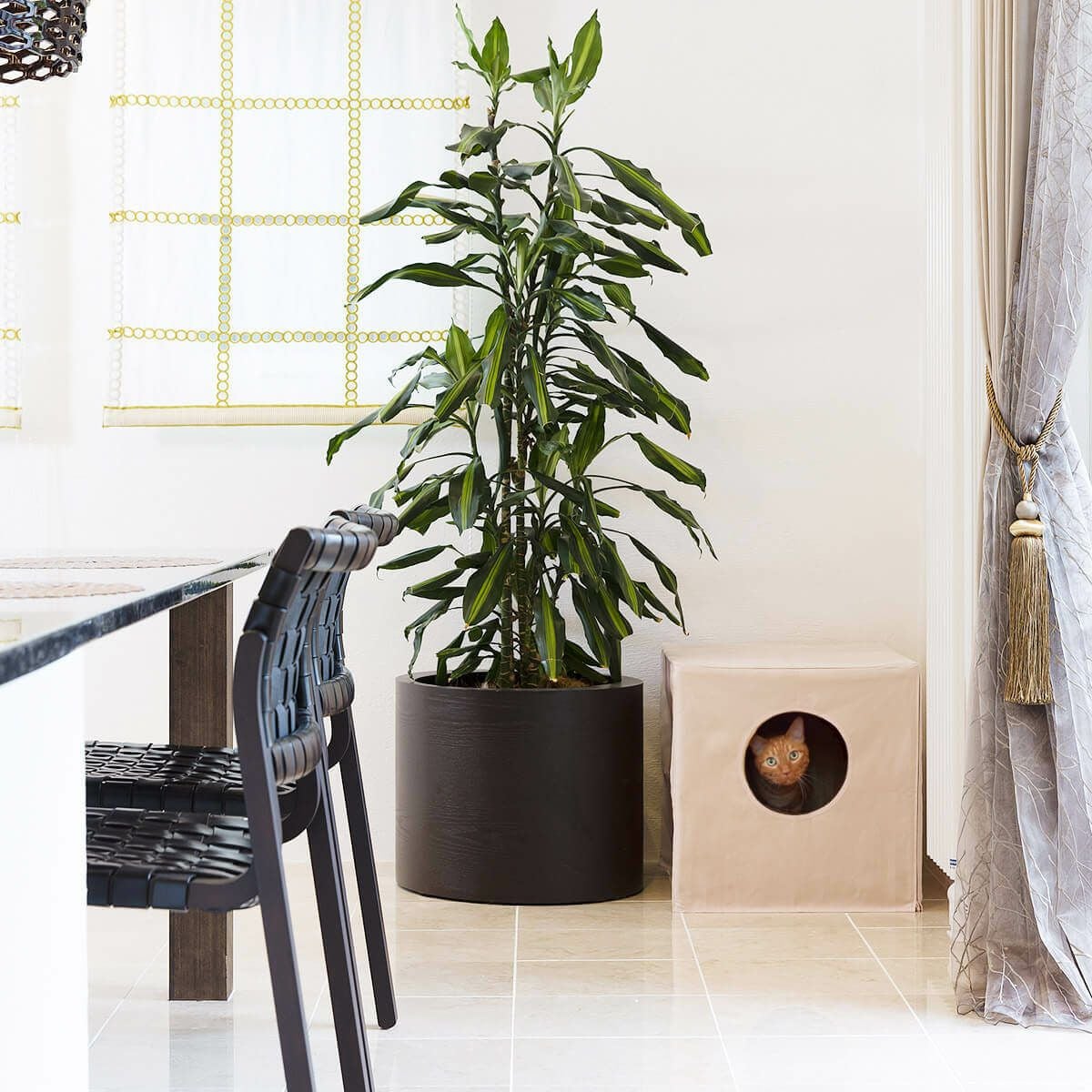 おしゃれな猫用インテリア家具。猫用トイレカバー