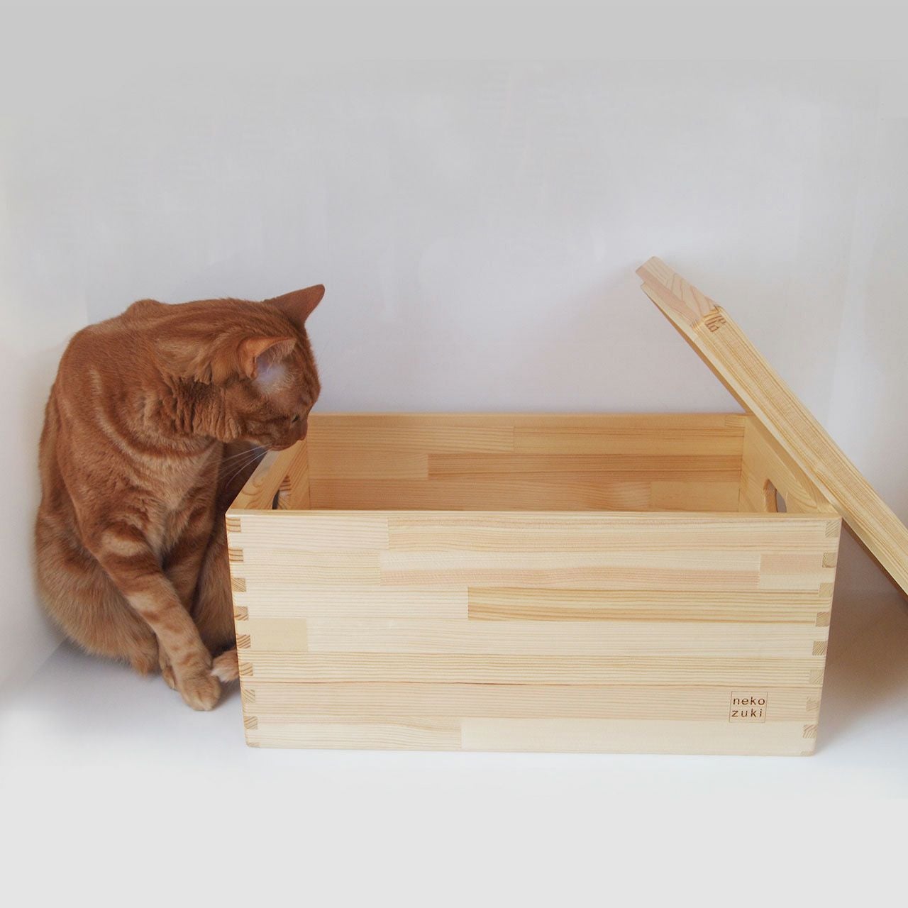 nekozuki T－BOX（てぃーぼっくす） 収納ボックス 14 | nekozuki