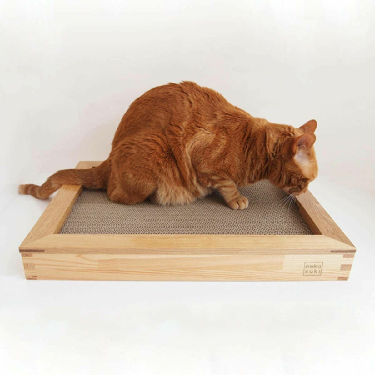 猫の木製爪とぎベッド。動いてしまう不安定な研ぎ場対策にお薦め