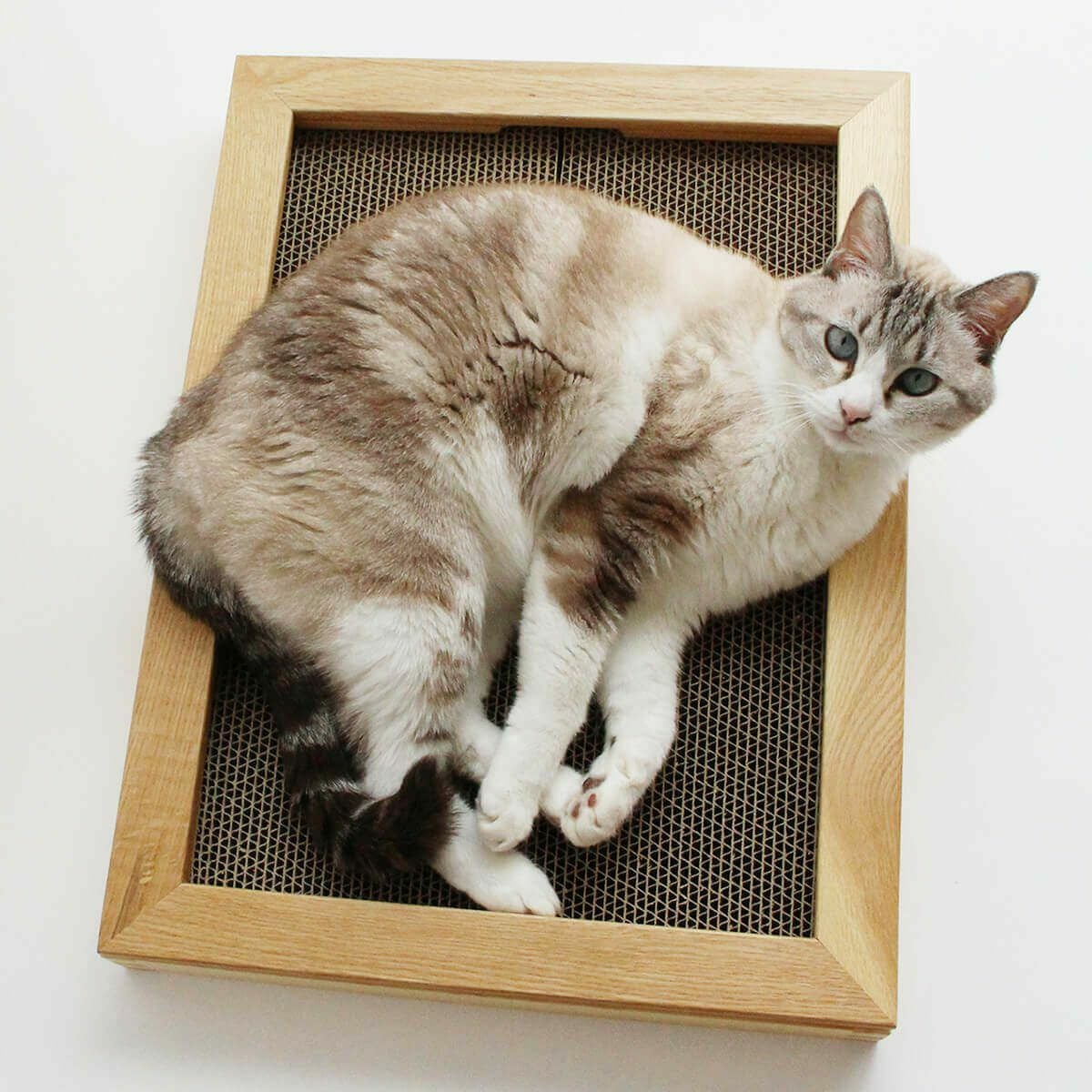 猫の木製爪とぎベッド。動いてしまう不安定な研ぎ場対策にお薦め