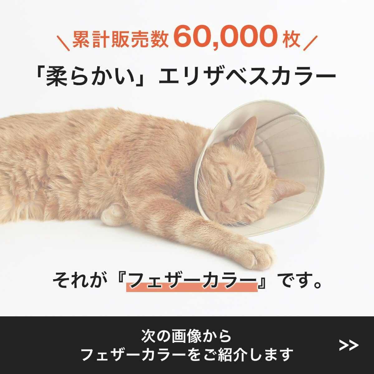 獣医おすすめ 柔らかい猫エリザベスカラー・布スタンダード