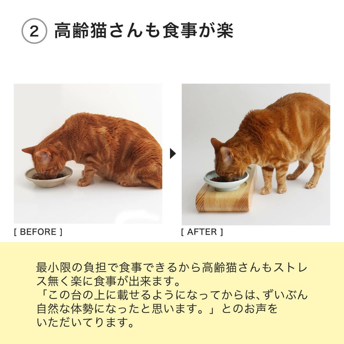テレビで紹介】食事中むせる猫さんにおすすめの食器台。まんま台