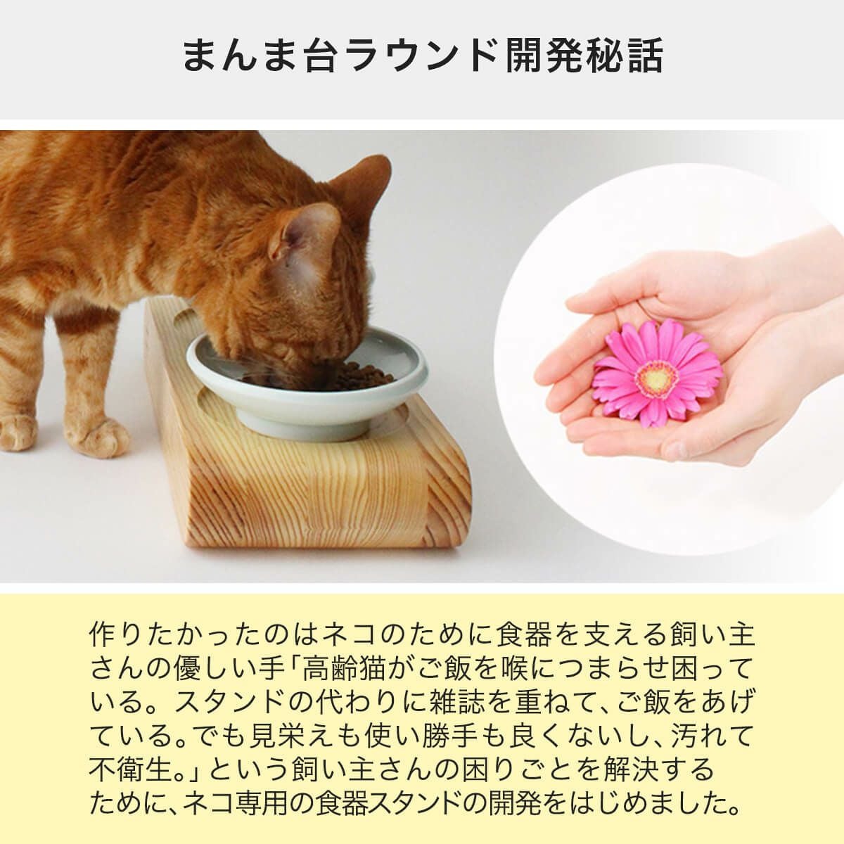 テレビで紹介】食事中むせる猫さんにおすすめの食器台。まんま台