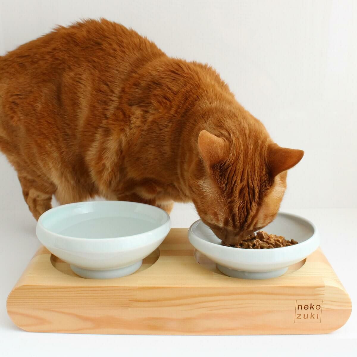 テレビで紹介】食事中むせる猫さんにおすすめの食器台。まんま台