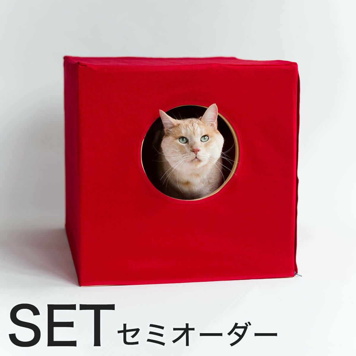猫蔵 セミオーダー 木の本体と消臭布カバー セット