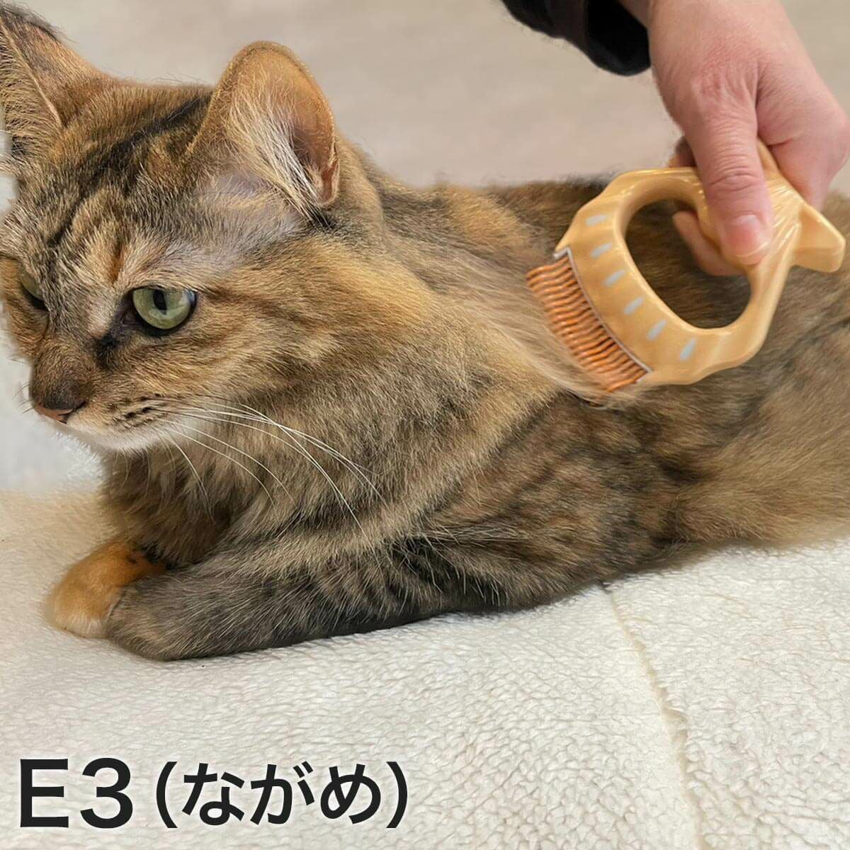 000000000942-09.jpg?size=m&w=