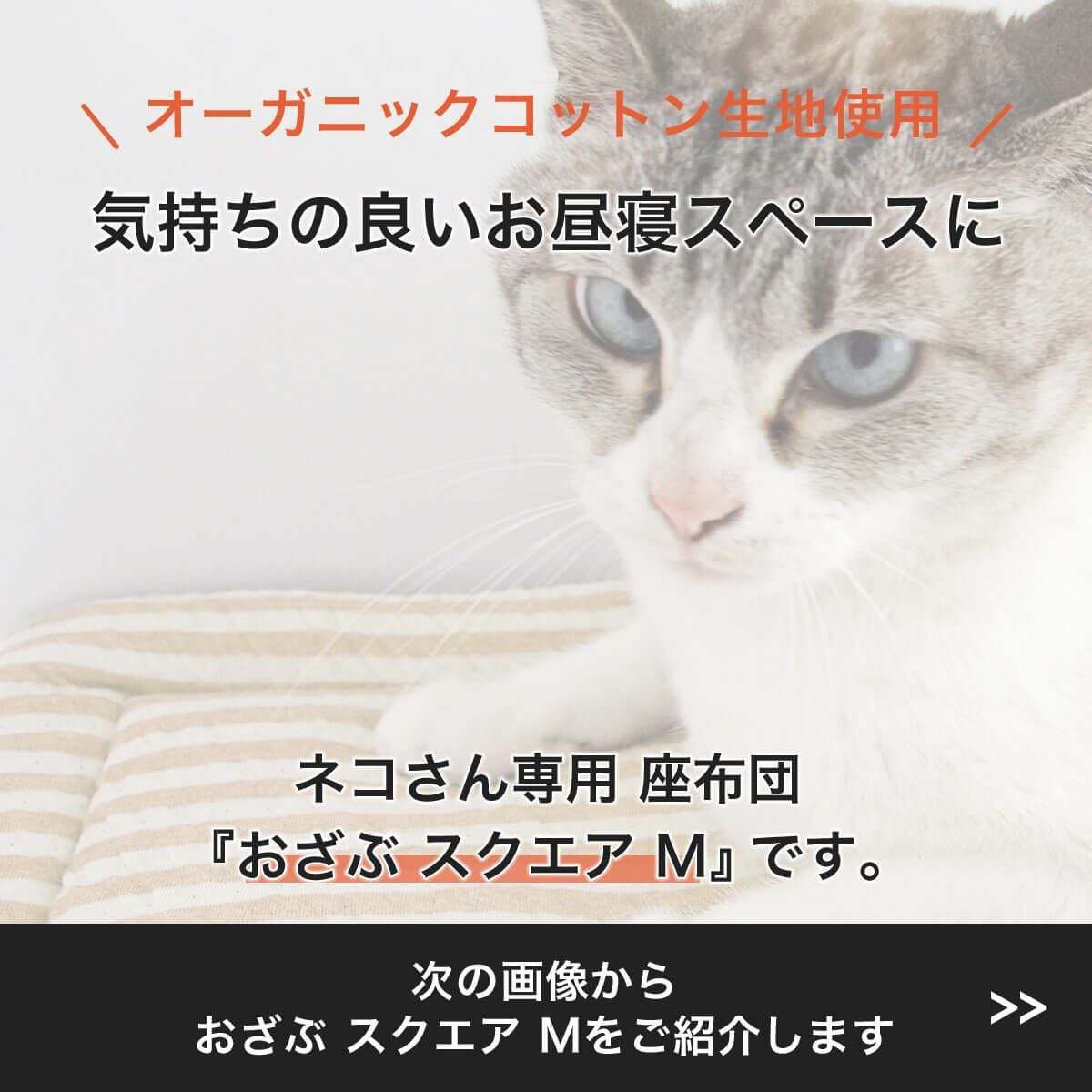 猫専用の座布団・M。ケージ内マットやベッドにおすすめ
