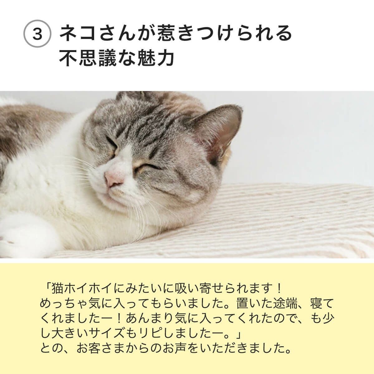 猫専用の座布団・M。ケージ内マットやベッドにおすすめ