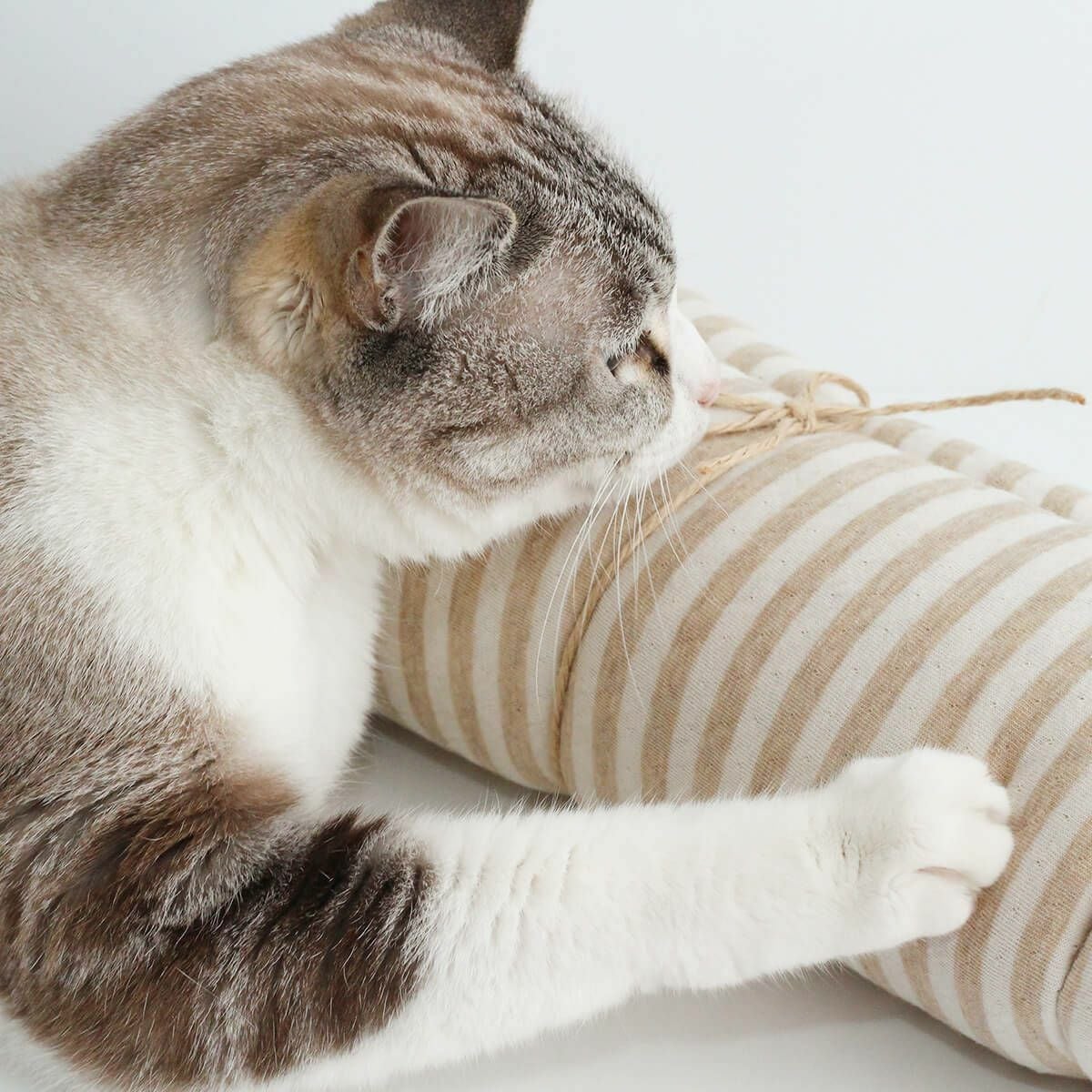 猫専用の座布団・M。ケージ内マットやベッドにおすすめ