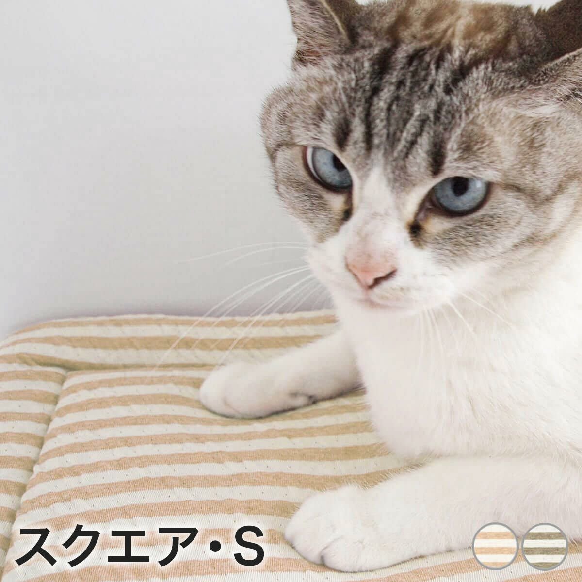 猫専用の座布団・S。ケージの敷物やキャリー用マットにおすすめ