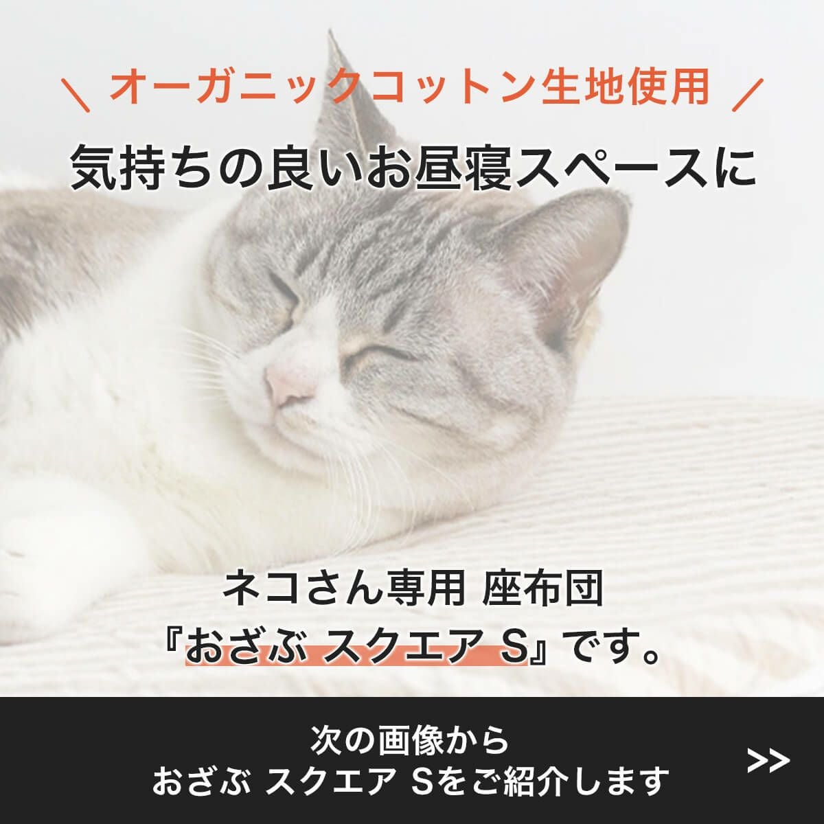 猫専用の座布団・S。ケージの敷物やキャリー用マットにおすすめ