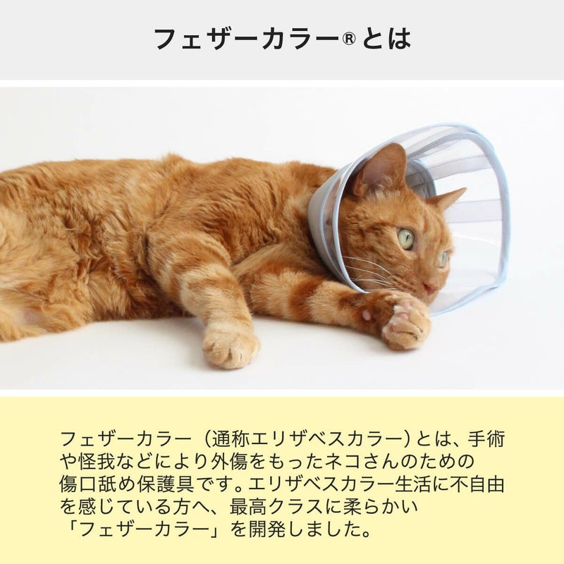 フェザーカラーとは