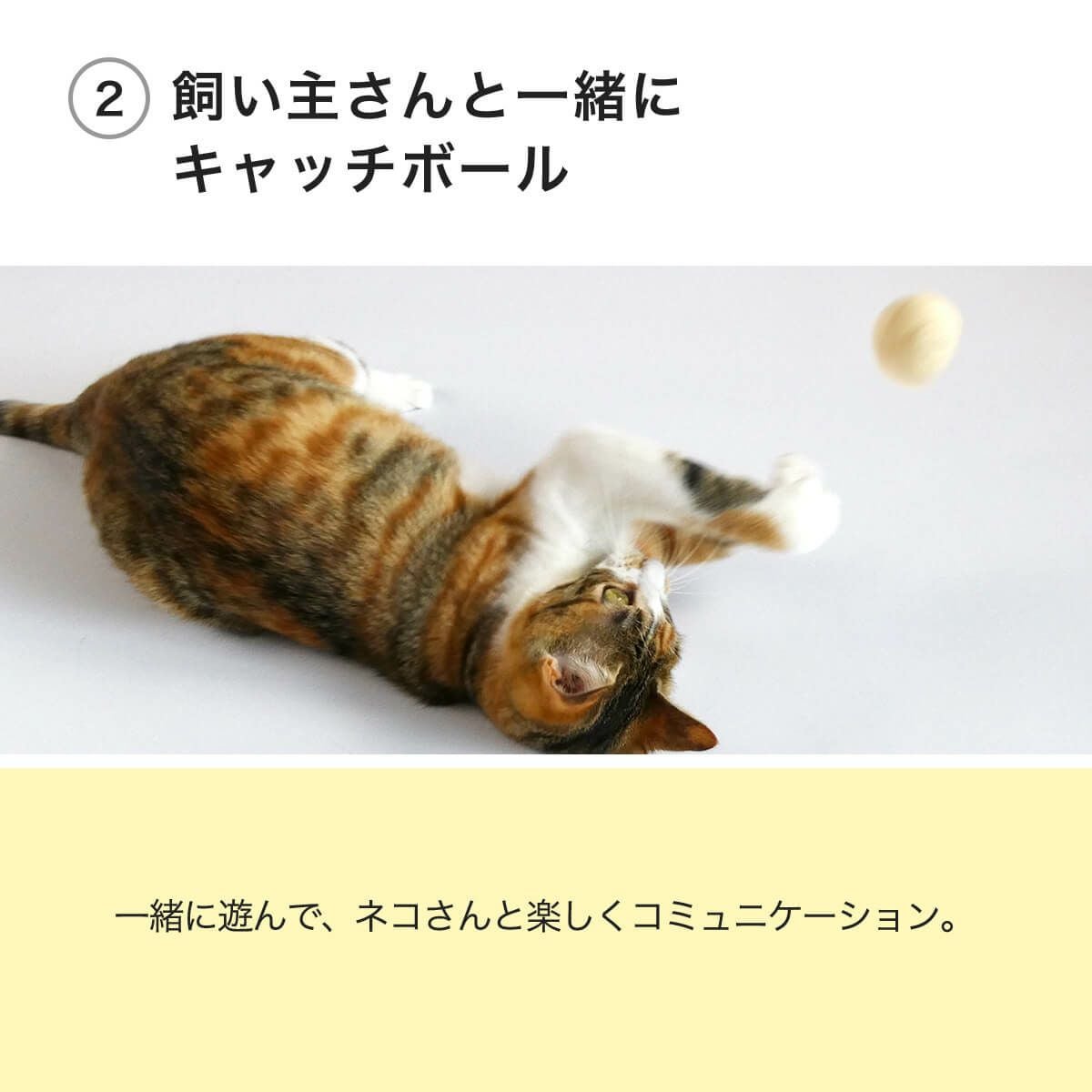コロコロ転がる猫おもちゃで運動不足解消。フェルトボール3個入