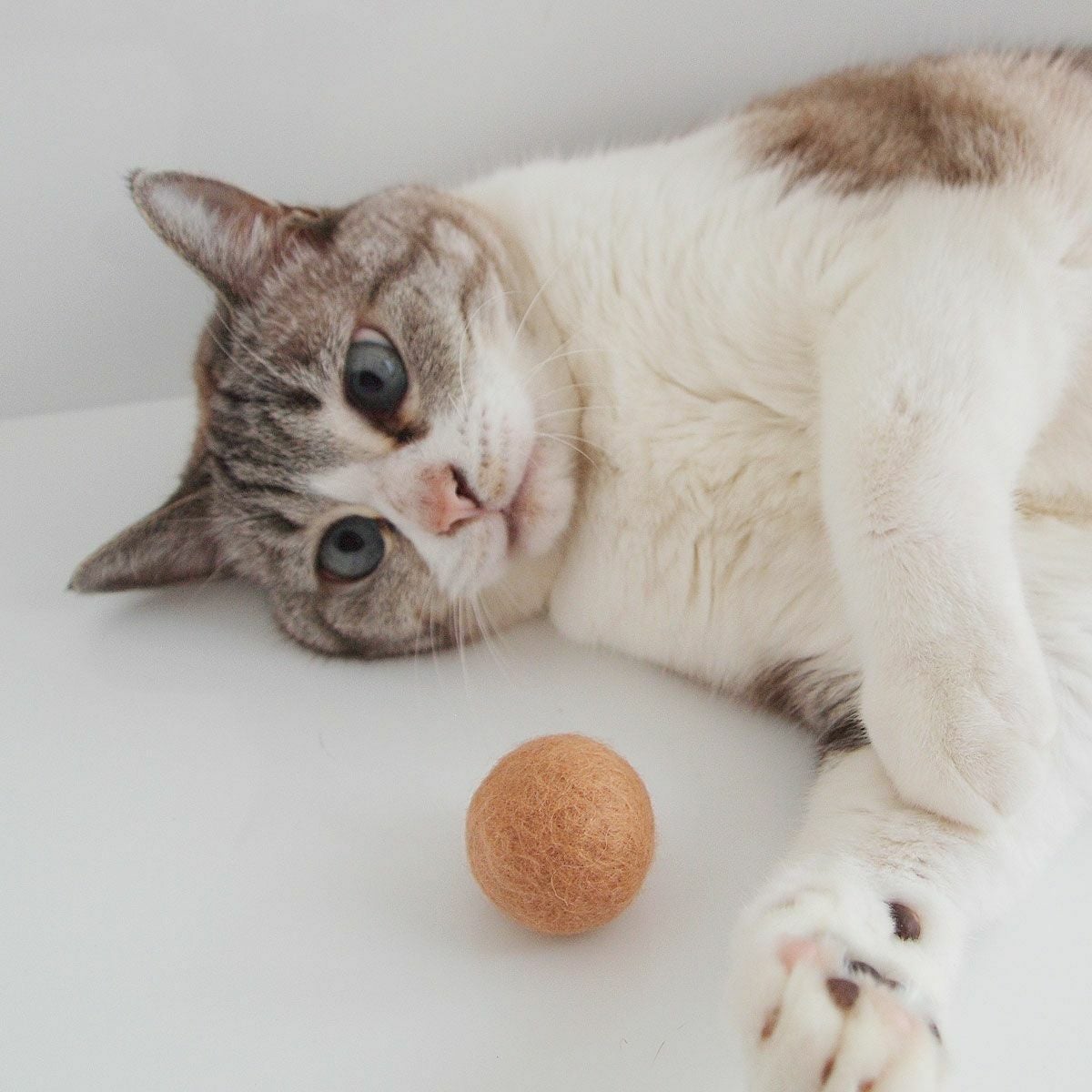 コロコロ転がる猫おもちゃで運動不足解消。フェルトボール3個入