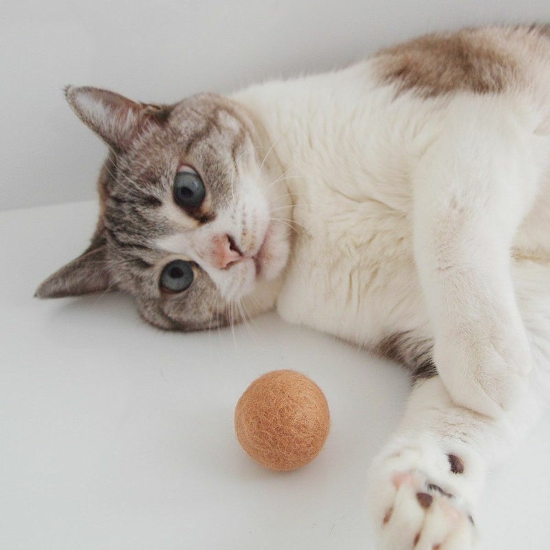 猫さんへのギフトに。猫用おもちゃねこずきころころ