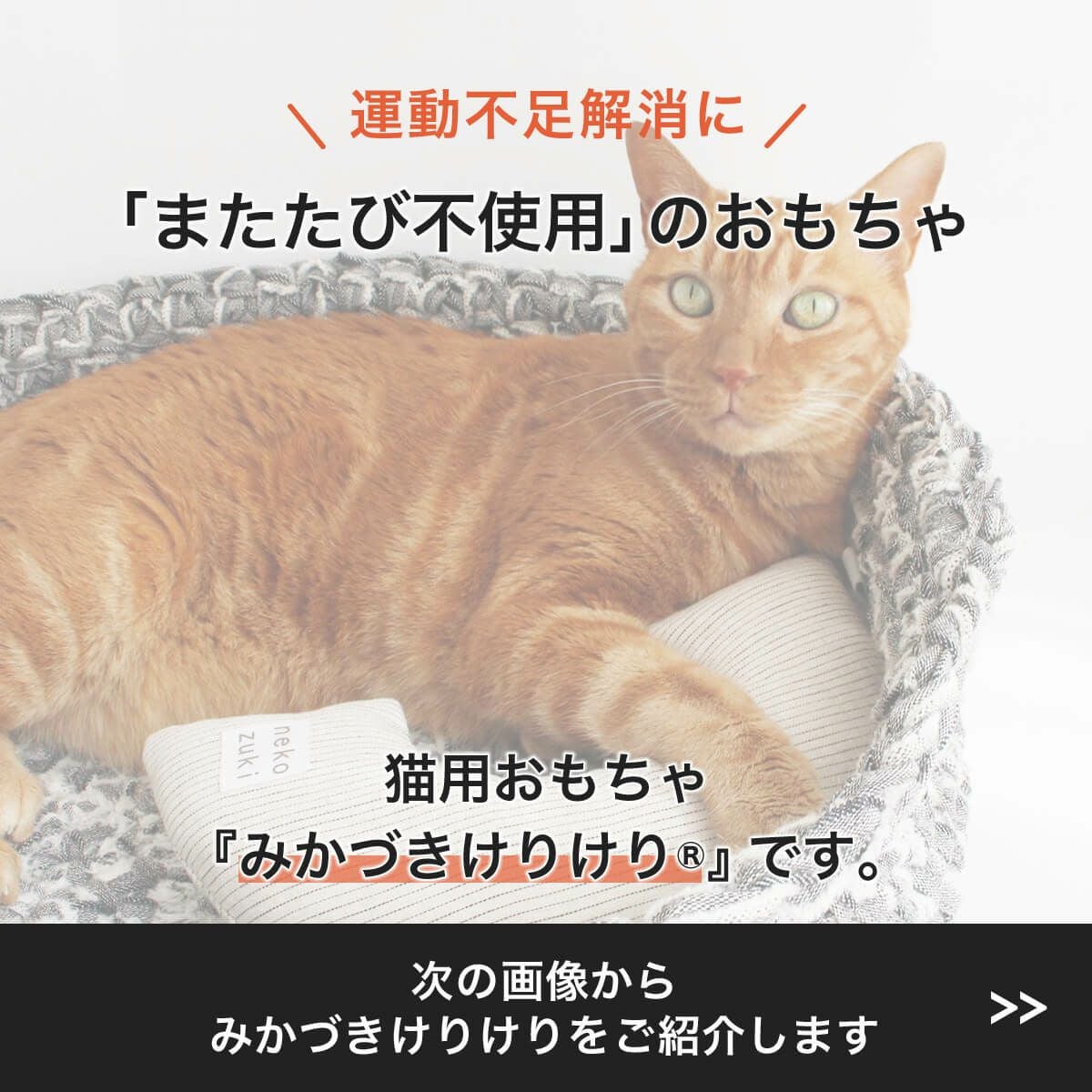 猫の運動不足を解消！またたびなし日本製のみかづきけりけり