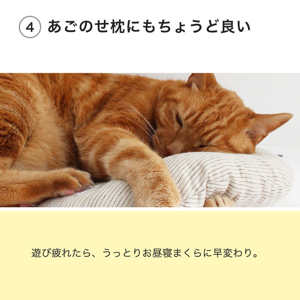 猫の運動不足を解消！またたびなし日本製のみかづきけりけり