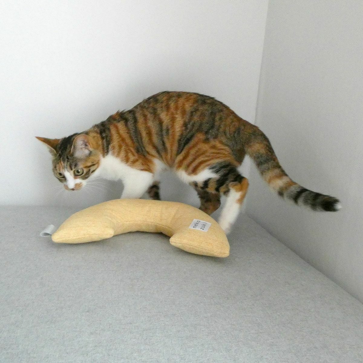 猫の運動不足を解消！またたびなし日本製のみかづきけりけり