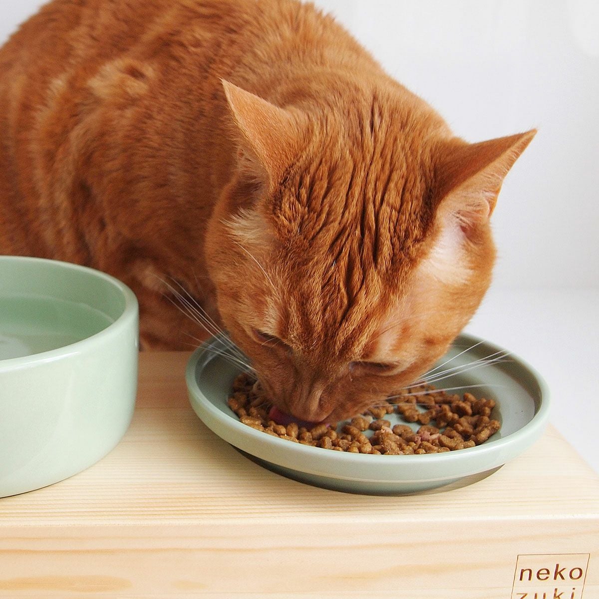 ヘルスウォーターボウルとセットで人気。猫ごはん用陶器フードM