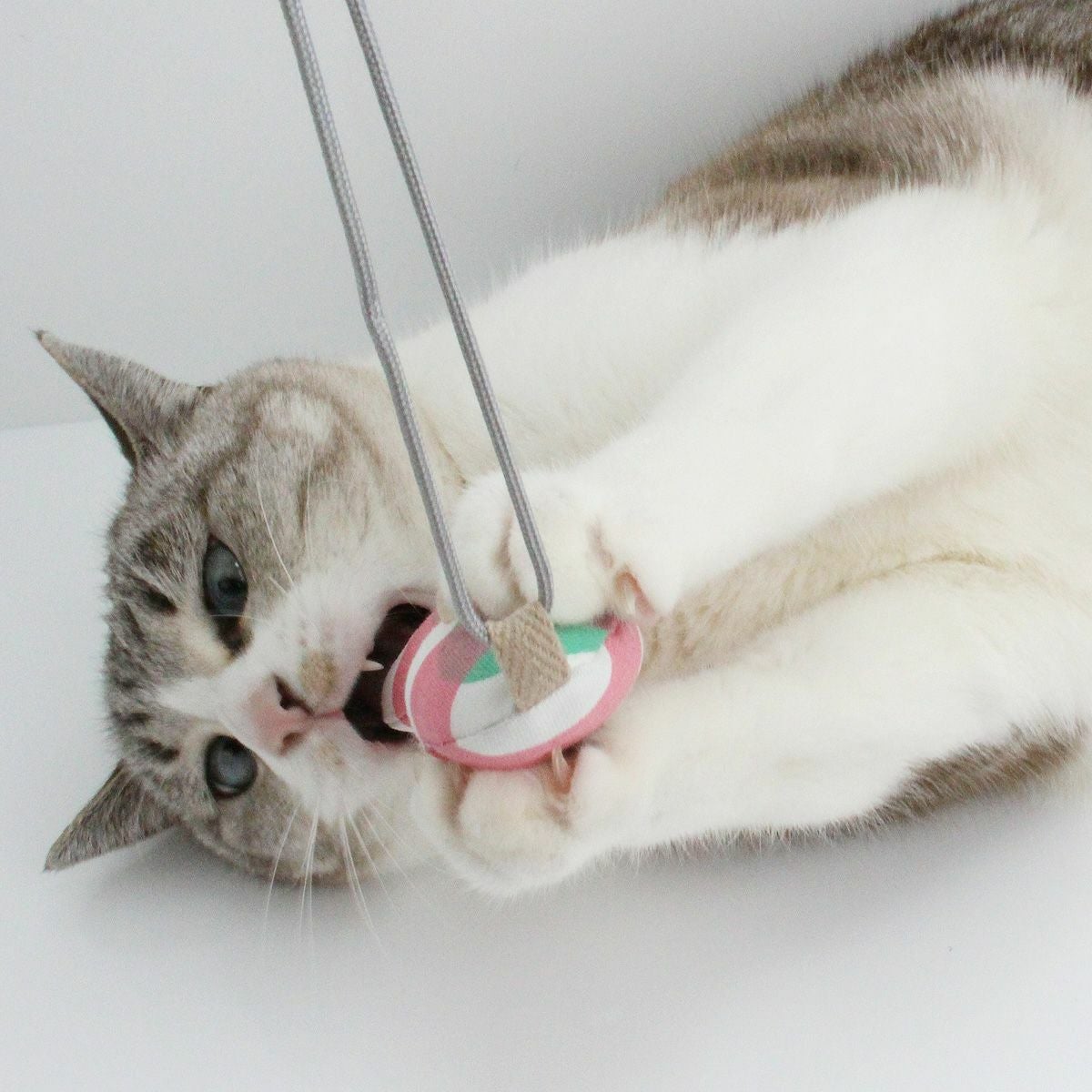 猫おもちゃ定番のねずみ＆さかなセット。お試し価格で遊び比べ