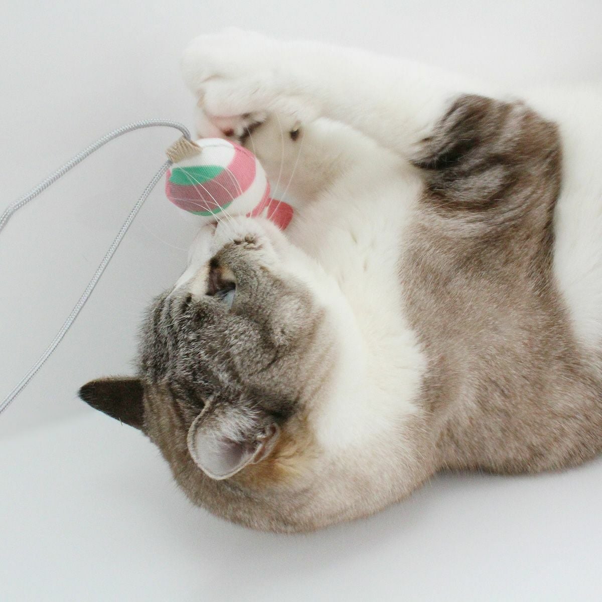 猫おもちゃ定番のねずみ＆さかなセット。お試し価格で遊び比べ