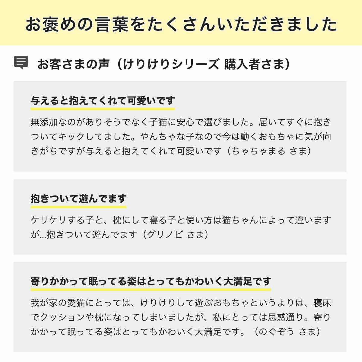 こねこけりけりお客様の声