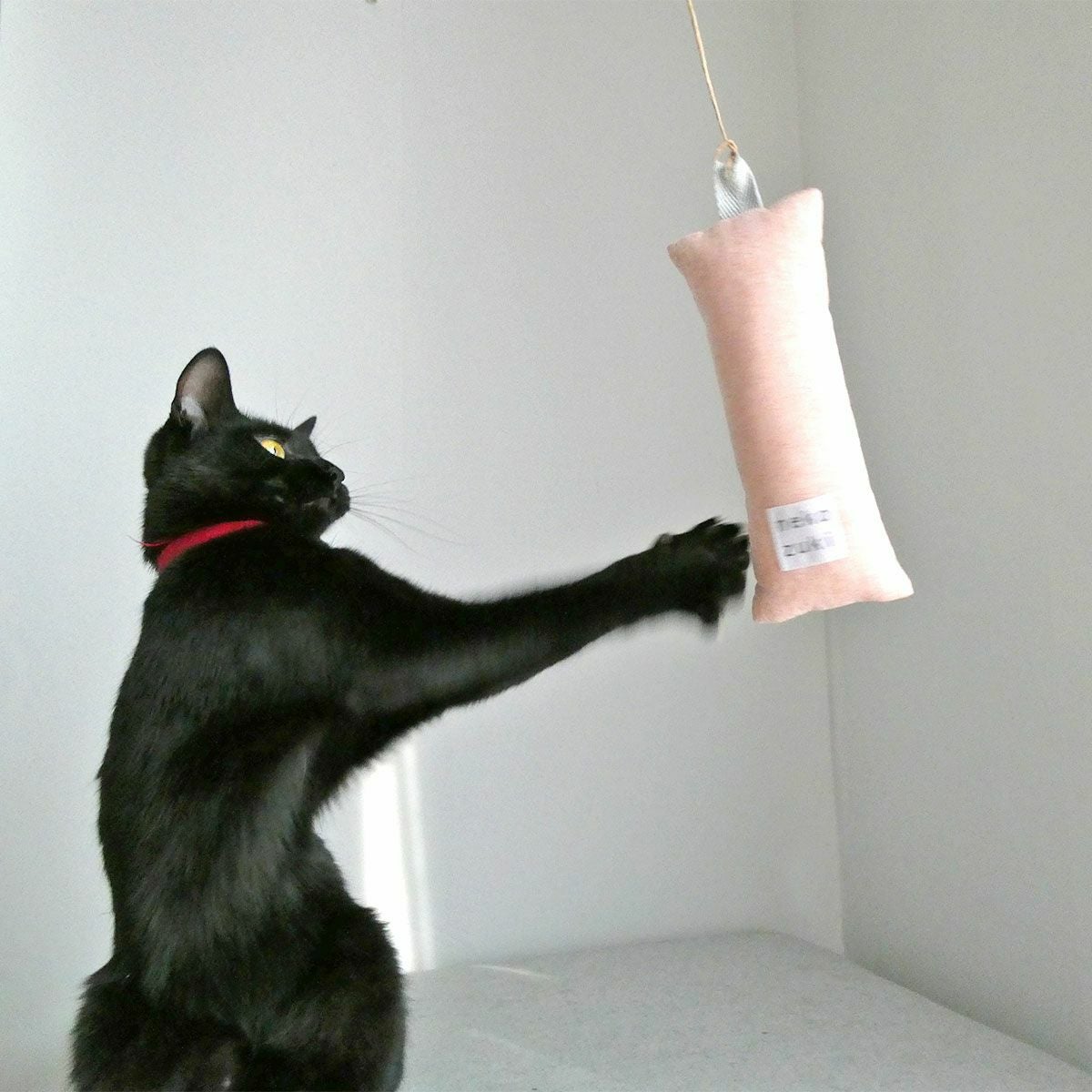 猫の運動不足対策！またたびなし日本製の子猫用けりけり