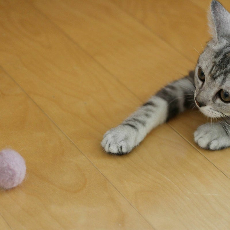 猫さんへのギフトに。猫用おもちゃこねこころころ
