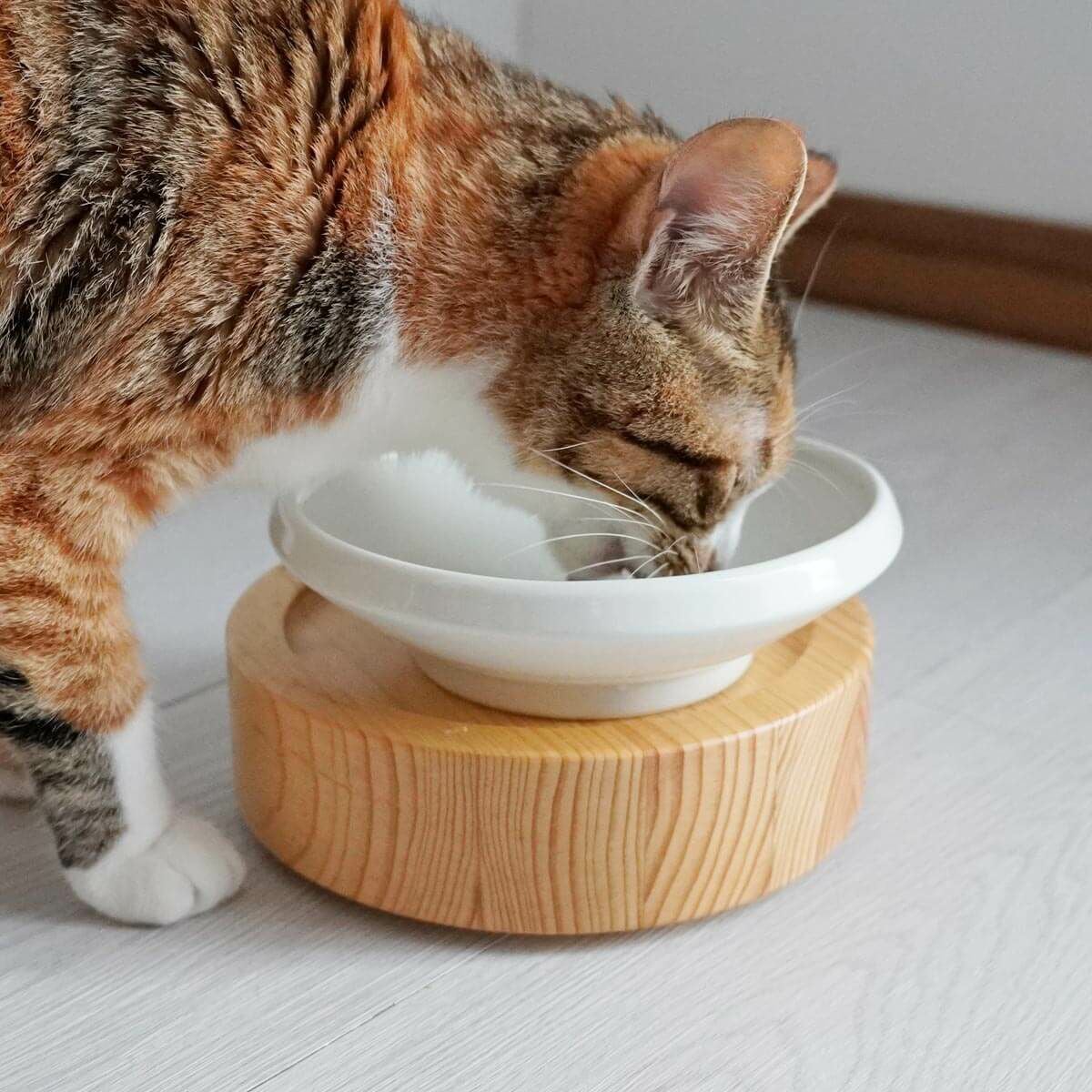 nekozuki まんまボウル ごはん用M｜こぼれない猫用食器・磁器 有田焼