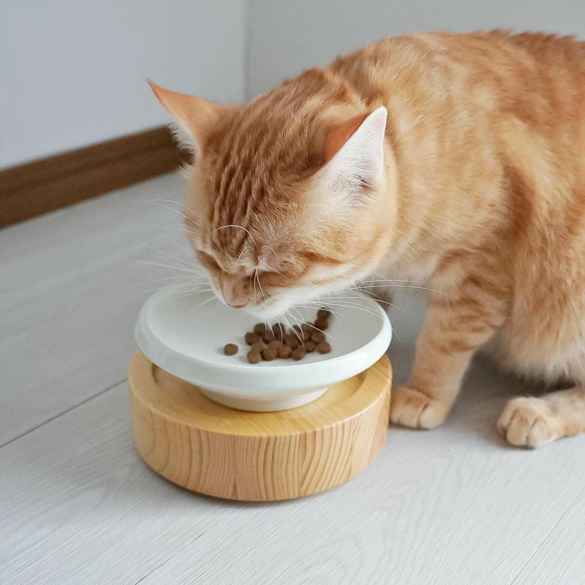 猫が食べやすい斜めの傾斜、磁器製のフードボウル