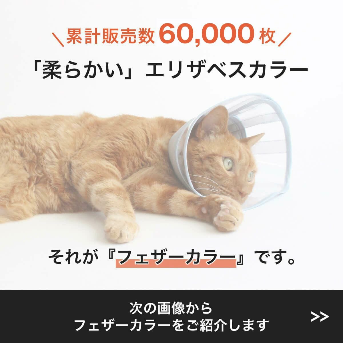 猫が嫌がらないエリザベスカラー｜寝るときも透明ソフト【nekozuki