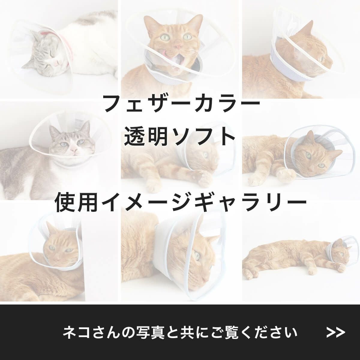 猫が嫌がらないエリザベスカラー｜寝るときも透明ソフト【nekozuki