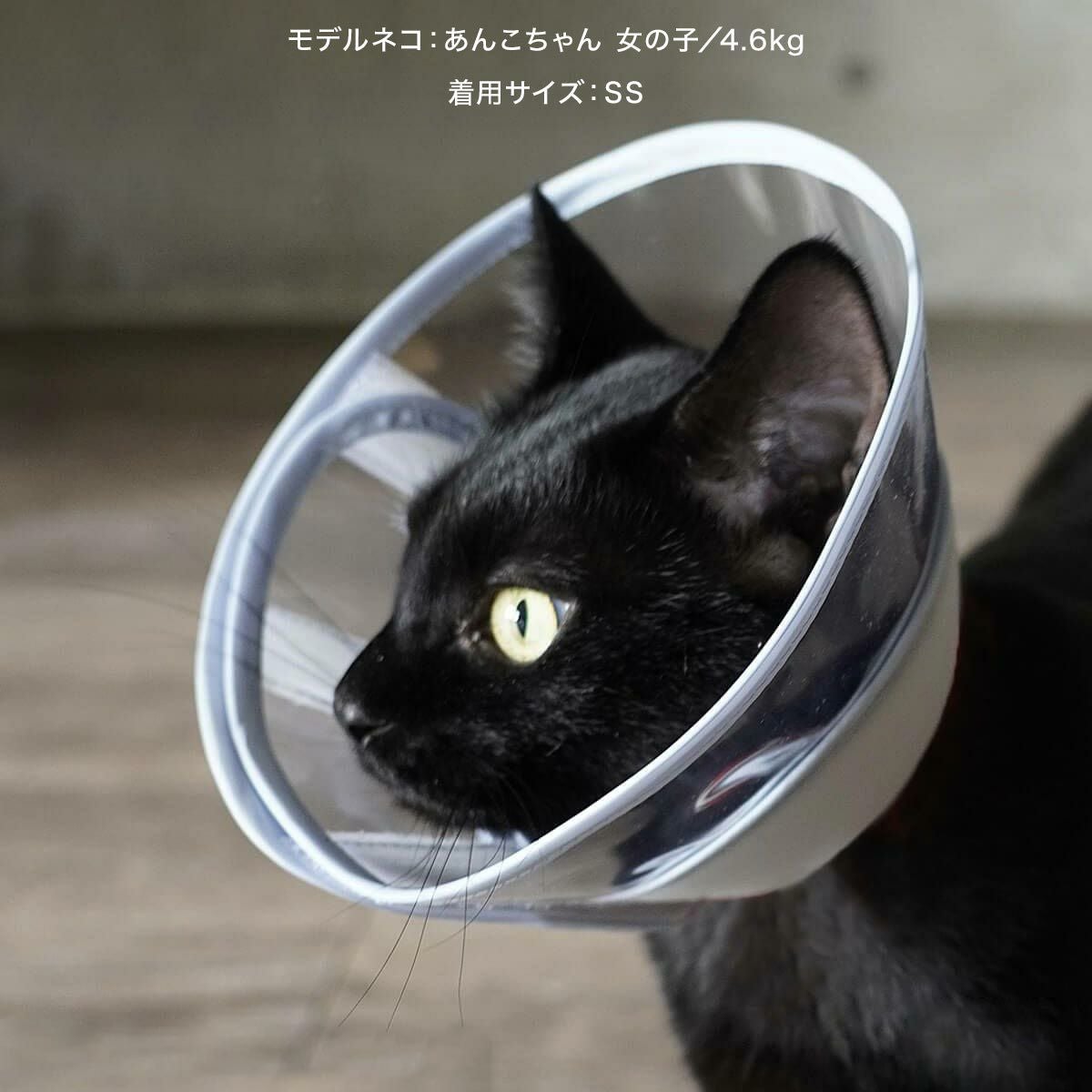 000000001655-22.jpg?size=l&w=