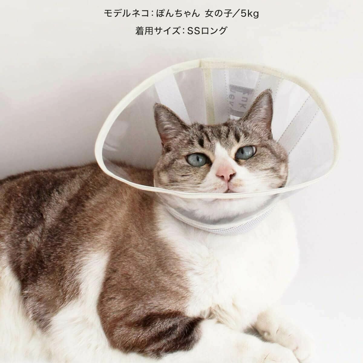 テレビで紹介】獣医おすすめ ストレスフリーな猫エリザベスカラー
