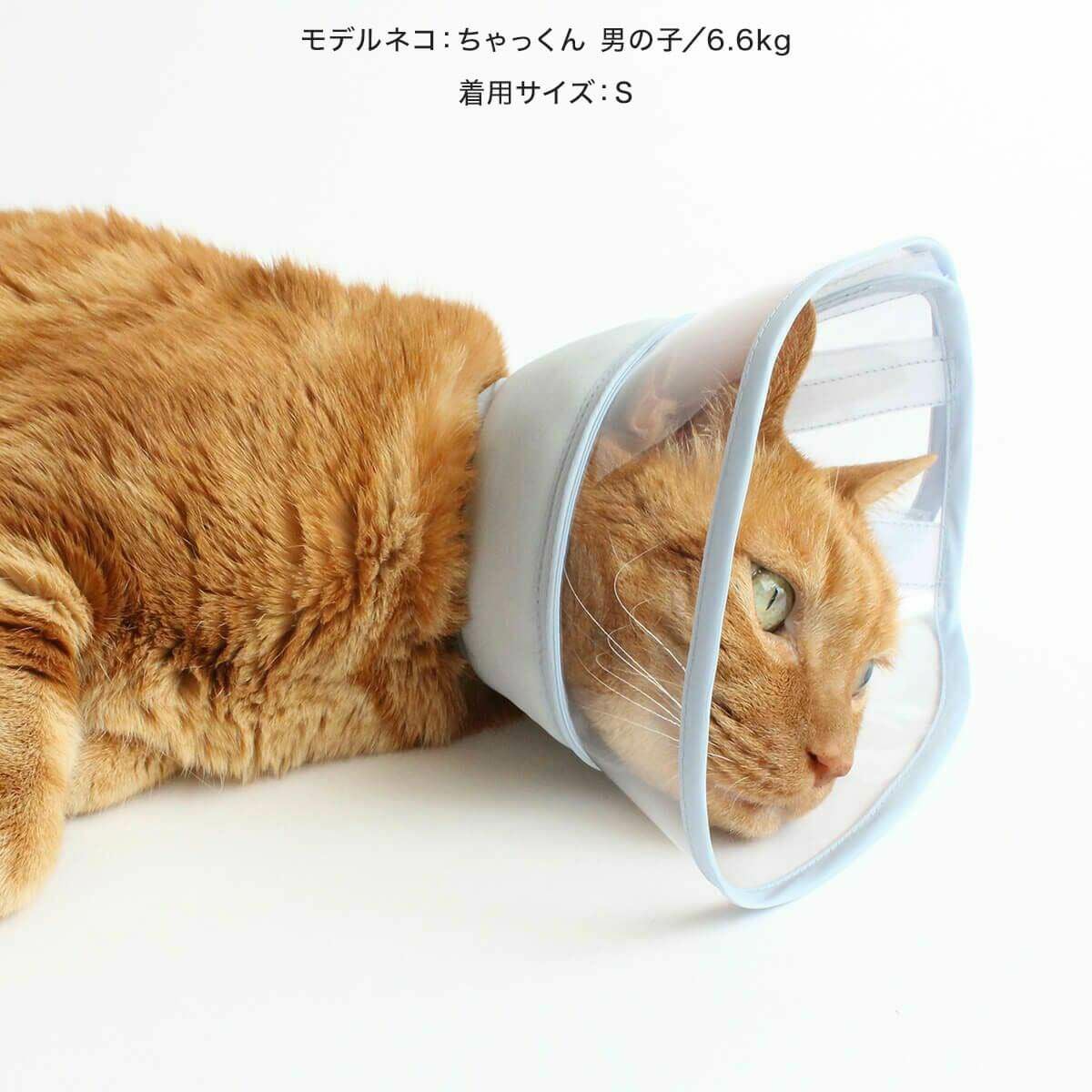 nekozuki（ねこずき）猫用品の販売