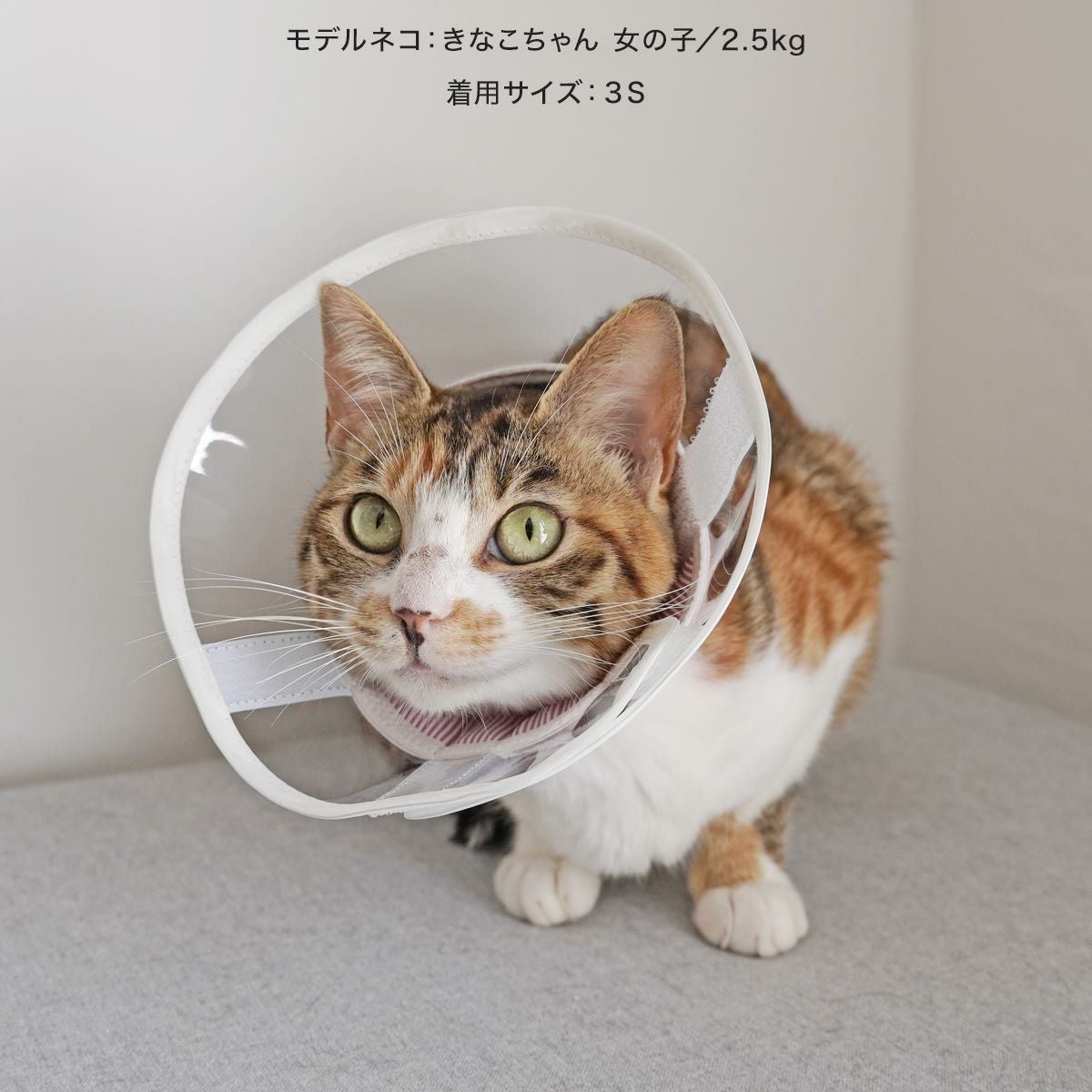 猫が嫌がらないエリザベスカラー｜寝るときも透明ソフト【nekozuki