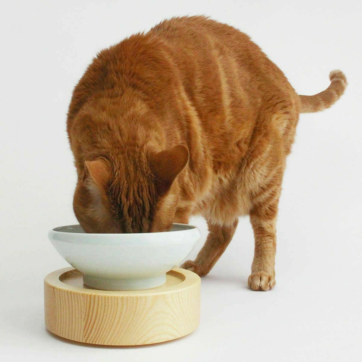 猫の食べ残し＆水こぼす対策に。まんまボウルご飯＆水飲みセット
