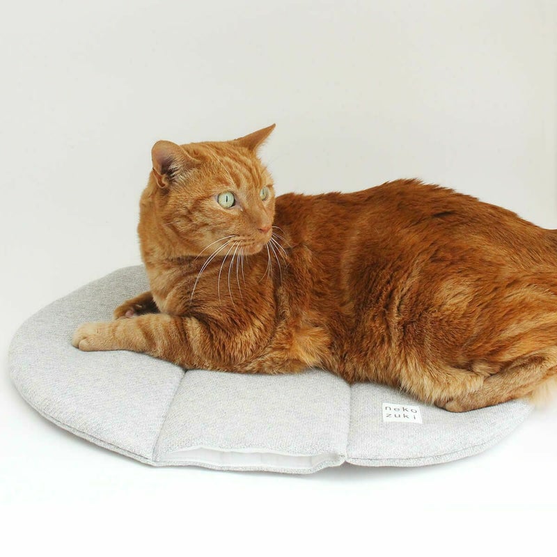 電気を使わない、あったか防寒グッズ。猫用マットぽかぽかマットPOCKET