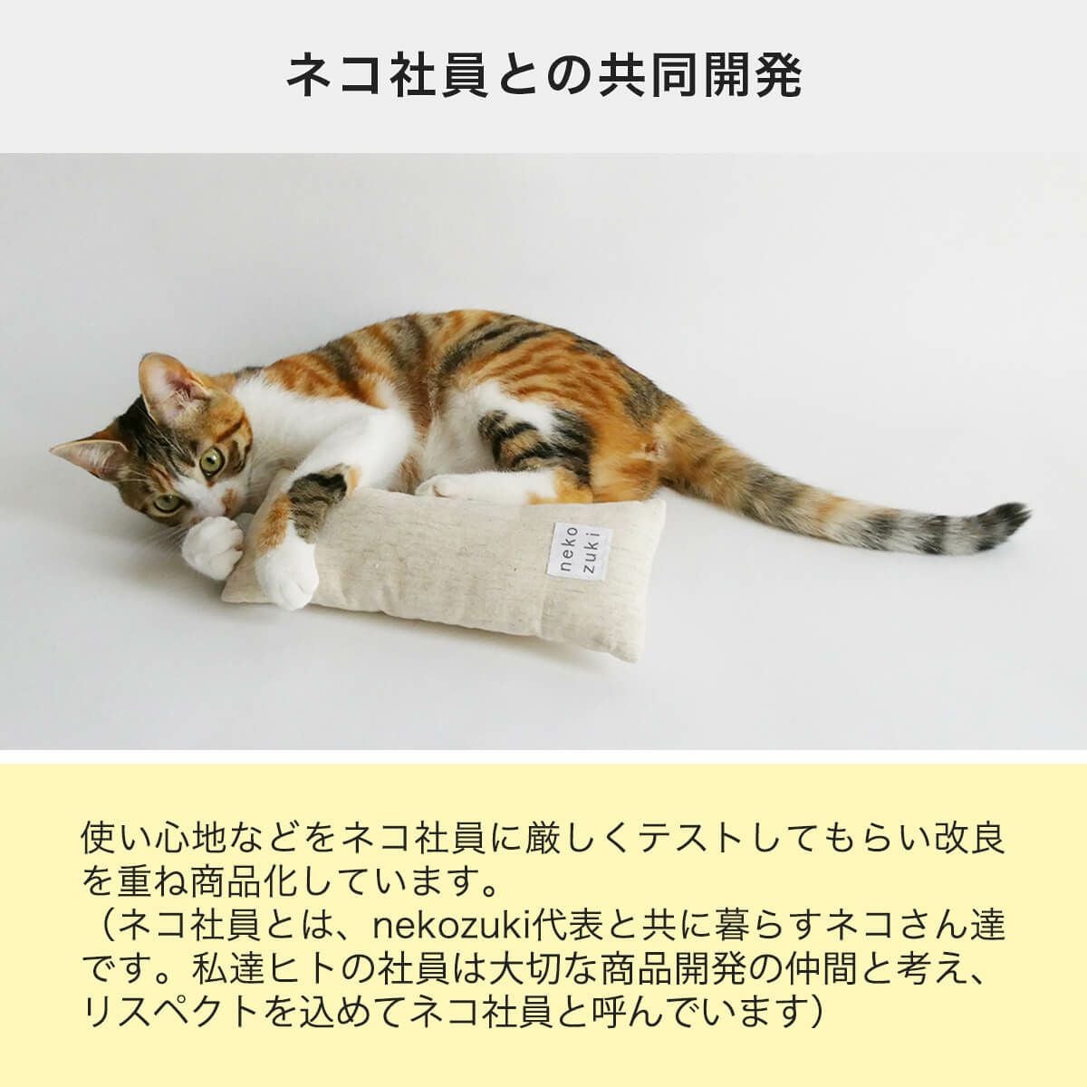 猫の運動不足解消に、またたびなし日本製のねこずきけりけり