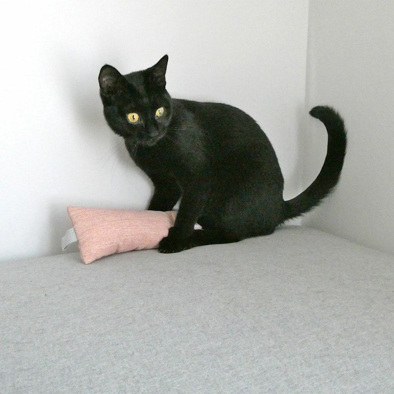 またたび不使用。猫用おもちゃねこずきけりけり