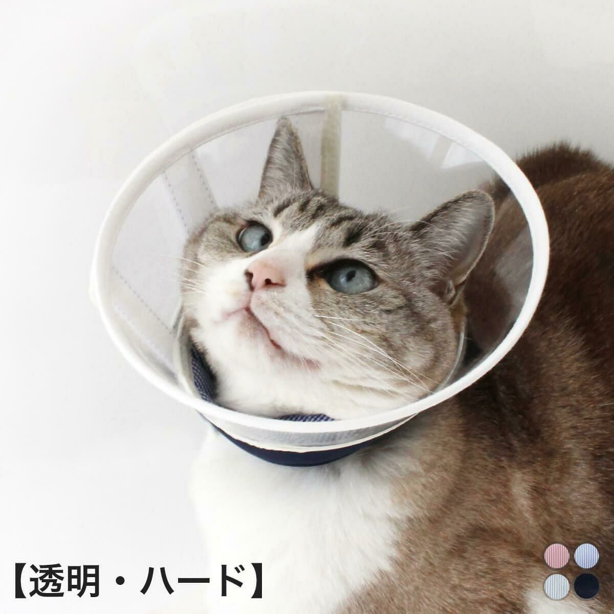 獣医おすすめ クリアで軽い猫エリザベスカラー・透明ハード