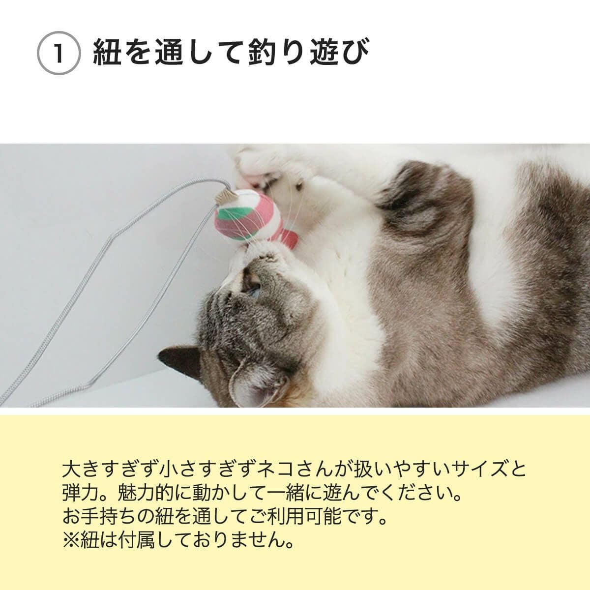 ねこずきさかなは紐を通して釣り遊び