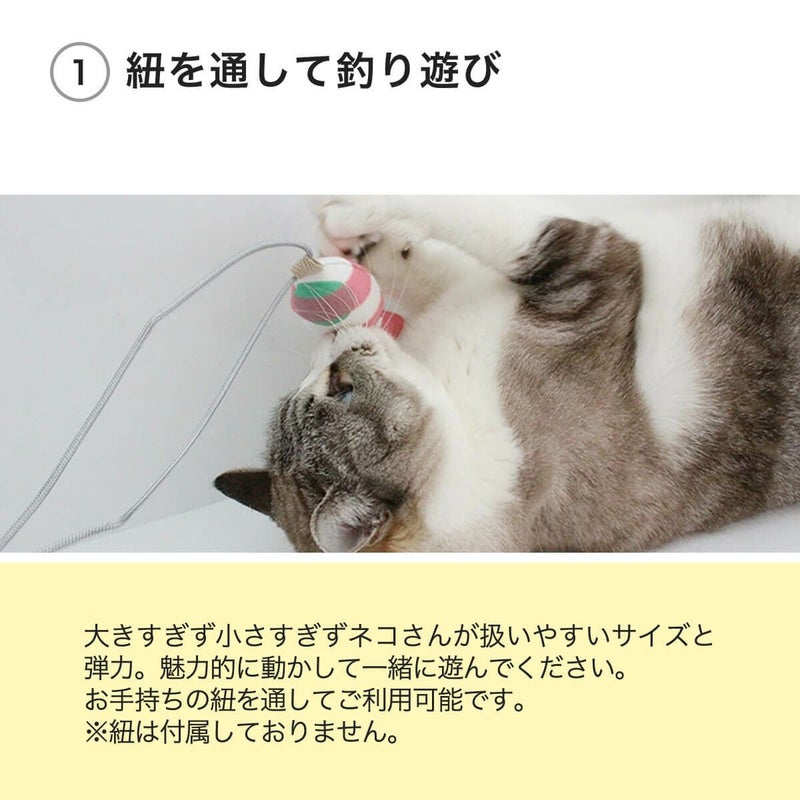 ねこずきさかなは紐を通して釣り遊び