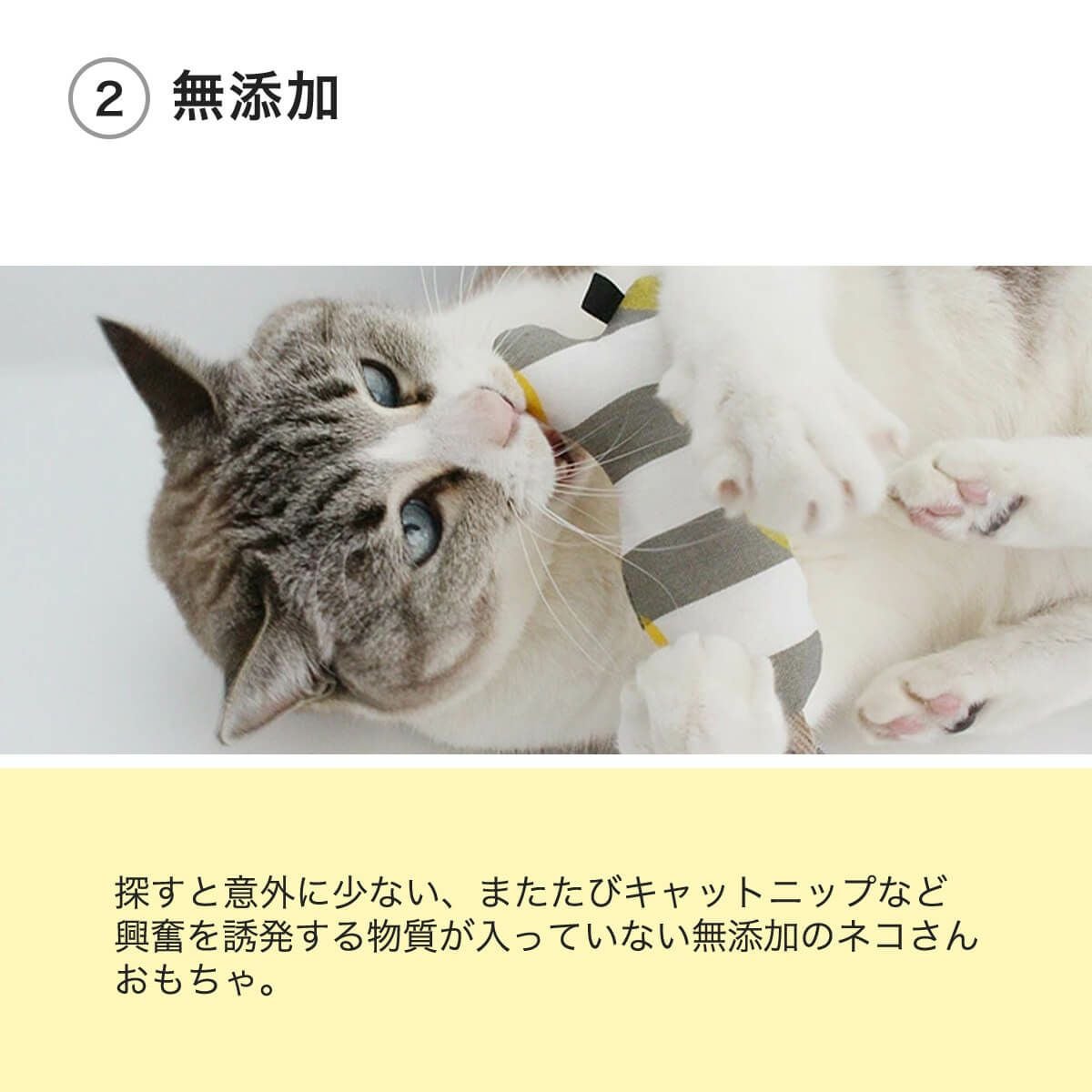 ねこずきさかなは無添加